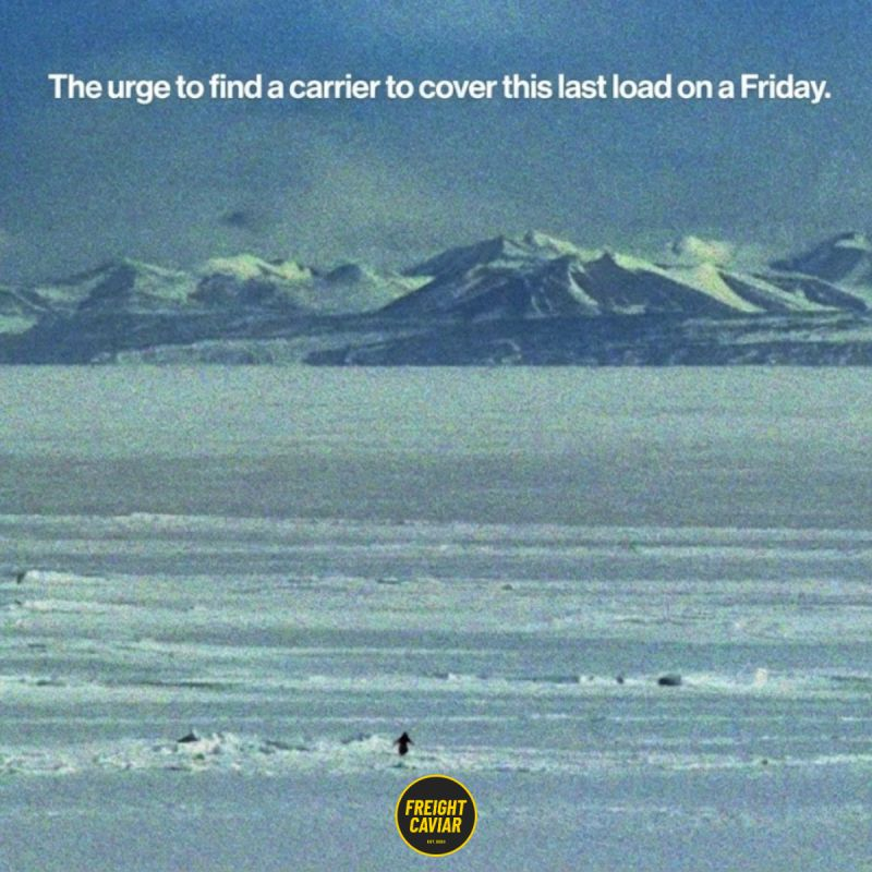 🎣 Winter Has Come