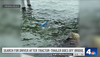 Truck Driver's Body Recovered after Chesapeake Bay Bridge-Tunnel Crash