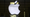 Two Charged in $287K Apple Cargo Theft on Pennsylvania Turnpike